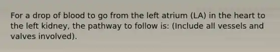 For a drop of blood to go from the left atrium (LA) in the heart to the left kidney, the pathway to follow is: (Include all vessels and valves involved).