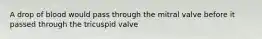 A drop of blood would pass through the mitral valve before it passed through the tricuspid valve