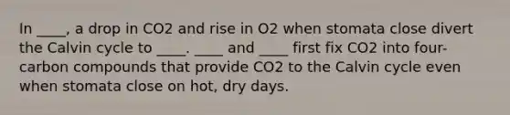 In ____, a drop in CO2 and rise in O2 when stomata close divert the Calvin cycle to ____. ____ and ____ first fix CO2 into four-carbon compounds that provide CO2 to the Calvin cycle even when stomata close on hot, dry days.