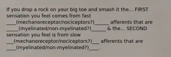 If you drop a rock on your big toe and smash it the... FIRST sensation you feel comes from fast ____(mechanoreceptor/nociceptors?)______ afferents that are _____(myelinated/non-myelinated?)______ & the... SECOND sensation you feel is from slow ___(mechanoreceptor/nociceptors?)___ afferents that are ____(myelinated/non-myelinated?)____.