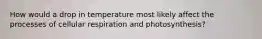 How would a drop in temperature most likely affect the processes of cellular respiration and photosynthesis?