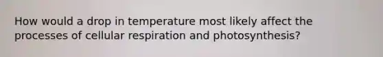 How would a drop in temperature most likely affect the processes of <a href='https://www.questionai.com/knowledge/k1IqNYBAJw-cellular-respiration' class='anchor-knowledge'>cellular respiration</a> and photosynthesis?