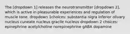 The [dropdown 1] releases the neurotransmitter [dropdown 2], which is active in pleasurable experiences and regulation of muscle tone. dropdown 1choices: substantia nigra inferior olivary nucleus cuneate nucleus gracile nucleus dropdown 2 choices: epinephrine acetylcholine norepinephrine gABA dopamine