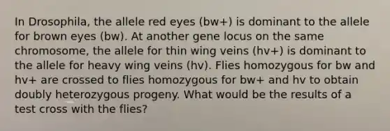 In Drosophila, the allele red eyes (bw+) is dominant to the allele for brown eyes (bw). At another gene locus on the same chromosome, the allele for thin wing veins (hv+) is dominant to the allele for heavy wing veins (hv). Flies homozygous for bw and hv+ are crossed to flies homozygous for bw+ and hv to obtain doubly heterozygous progeny. What would be the results of a test cross with the flies?