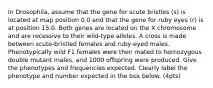 In Drosophila, assume that the gene for scute bristles (s) is located at map position 0.0 and that the gene for ruby eyes (r) is at position 15.0. Both genes are located on the X chromosome and are recessive to their wild-type alleles. A cross is made between scute-bristled females and ruby-eyed males. Phenotypically wild F1 females were then mated to homozygous double mutant males, and 1000 offspring were produced. Give the phenotypes and frequencies expected. Clearly label the phenotype and number expected in the box below. (4pts)