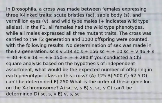 In Drosophila, a cross was made between females expressing three X-linked traits: scute bristles (sc), sable body (s), and vermillion eyes (v), and wild type males (+ indicates wild type alleles). In the F1, all females had the wild type phenotypes, while all males expressed all three mutant traits. The cross was carried to the F2 generation and 1000 offspring were counted, with the following results. No determination of sex was made in the F2 generation. sc s v 314 sc s + 156 sc + + 10 sc + v 46 + s + 30 + s v 14 + + v 150 + + + 280 If you conducted a Chi square analysis based on the hypothesis of independent assortment, what would be the expected number of offspring in each phenotypic class in this cross? (A) 125 B) 500 C) 62.5 D) can't be determined E) 250 What is the order of these gene loci on the X-chromosome? A) sc, v, s B) s, sc, v C) can't be determined D) sc, s, v E) v, s, sc