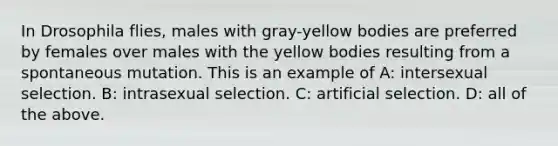 In Drosophila flies, males with gray-yellow bodies are preferred by females over males with the yellow bodies resulting from a spontaneous mutation. This is an example of A: intersexual selection. B: intrasexual selection. C: artificial selection. D: all of the above.