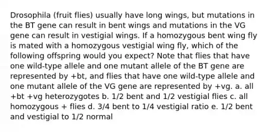 Drosophila (fruit flies) usually have long wings, but mutations in the BT gene can result in bent wings and mutations in the VG gene can result in vestigial wings. If a homozygous bent wing fly is mated with a homozygous vestigial wing fly, which of the following offspring would you expect? Note that flies that have one wild-type allele and one mutant allele of the BT gene are represented by +bt, and flies that have one wild-type allele and one mutant allele of the VG gene are represented by +vg. a. all +bt +vg heterozygotes b. 1/2 bent and 1/2 vestigial flies c. all homozygous + flies d. 3/4 bent to 1/4 vestigial ratio e. 1/2 bent and vestigial to 1/2 normal