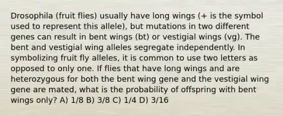 Drosophila (fruit flies) usually have long wings (+ is the symbol used to represent this allele), but mutations in two different genes can result in bent wings (bt) or vestigial wings (vg). The bent and vestigial wing alleles segregate independently. In symbolizing fruit fly alleles, it is common to use two letters as opposed to only one. If flies that have long wings and are heterozygous for both the bent wing gene and the vestigial wing gene are mated, what is the probability of offspring with bent wings only? A) 1/8 B) 3/8 C) 1/4 D) 3/16