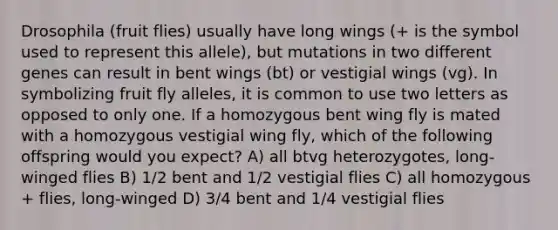 Drosophila (fruit flies) usually have long wings (+ is the symbol used to represent this allele), but mutations in two different genes can result in bent wings (bt) or vestigial wings (vg). In symbolizing fruit fly alleles, it is common to use two letters as opposed to only one. If a homozygous bent wing fly is mated with a homozygous vestigial wing fly, which of the following offspring would you expect? A) all btvg heterozygotes, long-winged flies B) 1/2 bent and 1/2 vestigial flies C) all homozygous + flies, long-winged D) 3/4 bent and 1/4 vestigial flies