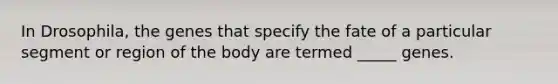 In Drosophila, the genes that specify the fate of a particular segment or region of the body are termed _____ genes.