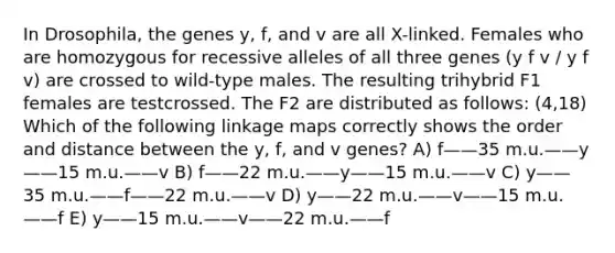 In Drosophila, the genes y, f, and v are all X-linked. Females who are homozygous for recessive alleles of all three genes (y f v / y f v) are crossed to wild-type males. The resulting trihybrid F1 females are testcrossed. The F2 are distributed as follows: (4,18) Which of the following linkage maps correctly shows the order and distance between the y, f, and v genes? A) f——35 m.u.——y——15 m.u.——v B) f——22 m.u.——y——15 m.u.——v C) y——35 m.u.——f——22 m.u.——v D) y——22 m.u.——v——15 m.u.——f E) y——15 m.u.——v——22 m.u.——f