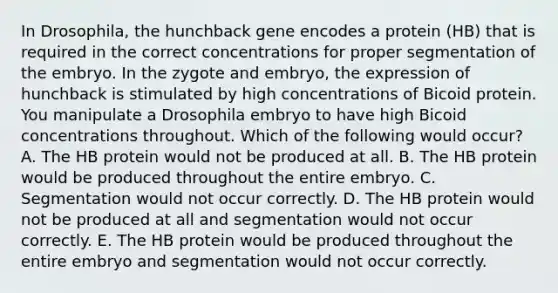 In Drosophila, the hunchback gene encodes a protein (HB) that is required in the correct concentrations for proper segmentation of the embryo. In the zygote and embryo, the expression of hunchback is stimulated by high concentrations of Bicoid protein. You manipulate a Drosophila embryo to have high Bicoid concentrations throughout. Which of the following would occur? A. The HB protein would not be produced at all. B. The HB protein would be produced throughout the entire embryo. C. Segmentation would not occur correctly. D. The HB protein would not be produced at all and segmentation would not occur correctly. E. The HB protein would be produced throughout the entire embryo and segmentation would not occur correctly.