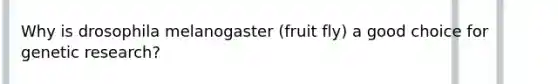 Why is drosophila melanogaster (fruit fly) a good choice for genetic research?