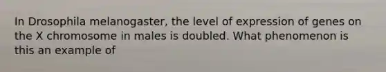 In Drosophila melanogaster, the level of expression of genes on the X chromosome in males is doubled. What phenomenon is this an example of