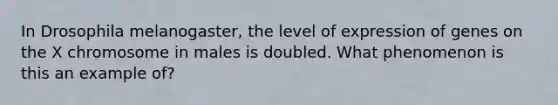 In Drosophila melanogaster, the level of expression of genes on the X chromosome in males is doubled. What phenomenon is this an example of?