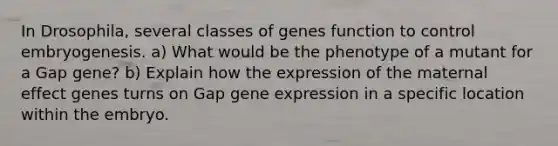 In Drosophila, several classes of genes function to control embryogenesis. a) What would be the phenotype of a mutant for a Gap gene? b) Explain how the expression of the maternal effect genes turns on Gap gene expression in a specific location within the embryo.