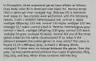 In Drosophila, three autosomal genes have alleles as follows: Gray body color (B) is dominant over black (b). Normal wings (VG) is dominant over vestigial (vg). Red eye (R) is dominant over sepia (r). Two crosses were performed, with the following results: Cross I: Parents: heterozygous red, normal × sepia, vestigial Offspring: 131 red, normal 120 sepia, vestigial 122 red, vestigial 127 sepia, normal Cross II: Parents: heterozygous gray, normal × black, vestigial Offspring: 236 gray, normal 253 black, vestigial 50 gray, vestigial 61 black, normal Are any of the three genes linked on the same chromosome? If so, what is the distance between the linked genes (in map units)? The cross in Figure 12.19 is BbVgvg (gray, normal) × bbvgvg (black, vestigial). If there were no linkage between the genes, then the gray, normal parent would produce four types of gametes: BVg, bVg, Bvg, and bvg. When these combine with the bvg