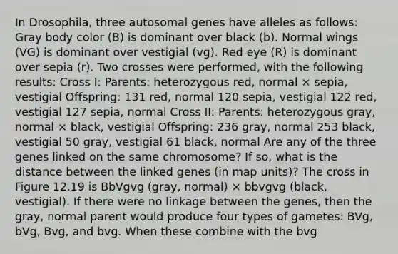 In Drosophila, three autosomal genes have alleles as follows: Gray body color (B) is dominant over black (b). Normal wings (VG) is dominant over vestigial (vg). Red eye (R) is dominant over sepia (r). Two crosses were performed, with the following results: Cross I: Parents: heterozygous red, normal × sepia, vestigial Offspring: 131 red, normal 120 sepia, vestigial 122 red, vestigial 127 sepia, normal Cross II: Parents: heterozygous gray, normal × black, vestigial Offspring: 236 gray, normal 253 black, vestigial 50 gray, vestigial 61 black, normal Are any of the three genes linked on the same chromosome? If so, what is the distance between the linked genes (in map units)? The cross in Figure 12.19 is BbVgvg (gray, normal) × bbvgvg (black, vestigial). If there were no linkage between the genes, then the gray, normal parent would produce four types of gametes: BVg, bVg, Bvg, and bvg. When these combine with the bvg