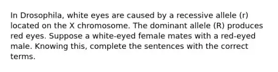 In Drosophila, white eyes are caused by a recessive allele (r) located on the X chromosome. The dominant allele (R) produces red eyes. Suppose a white-eyed female mates with a red-eyed male. Knowing this, complete the sentences with the correct terms.