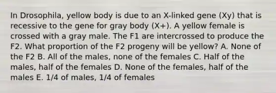 In Drosophila, yellow body is due to an X-linked gene (Xy) that is recessive to the gene for gray body (X+). A yellow female is crossed with a gray male. The F1 are intercrossed to produce the F2. What proportion of the F2 progeny will be yellow? A. None of the F2 B. All of the males, none of the females C. Half of the males, half of the females D. None of the females, half of the males E. 1/4 of males, 1/4 of females