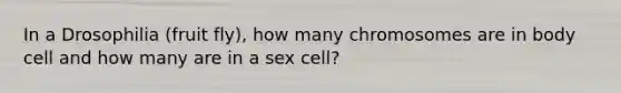 In a Drosophilia (fruit fly), how many chromosomes are in body cell and how many are in a sex cell?