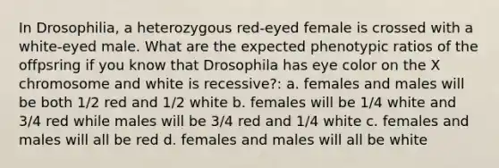 In Drosophilia, a heterozygous red-eyed female is crossed with a white-eyed male. What are the expected phenotypic ratios of the offpsring if you know that Drosophila has eye color on the X chromosome and white is recessive?: a. females and males will be both 1/2 red and 1/2 white b. females will be 1/4 white and 3/4 red while males will be 3/4 red and 1/4 white c. females and males will all be red d. females and males will all be white