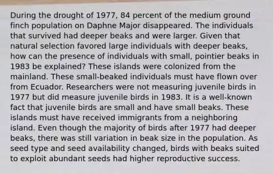 During the drought of 1977, 84 percent of the medium ground finch population on Daphne Major disappeared. The individuals that survived had deeper beaks and were larger. Given that natural selection favored large individuals with deeper beaks, how can the presence of individuals with small, pointier beaks in 1983 be explained? These islands were colonized from the mainland. These small-beaked individuals must have flown over from Ecuador. Researchers were not measuring juvenile birds in 1977 but did measure juvenile birds in 1983. It is a well-known fact that juvenile birds are small and have small beaks. These islands must have received immigrants from a neighboring island. Even though the majority of birds after 1977 had deeper beaks, there was still variation in beak size in the population. As seed type and seed availability changed, birds with beaks suited to exploit abundant seeds had higher reproductive success.