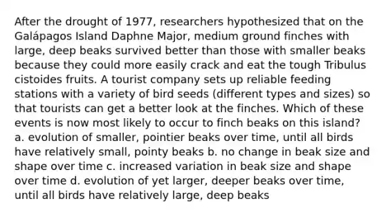 After the drought of 1977, researchers hypothesized that on the Galápagos Island Daphne Major, medium ground finches with large, deep beaks survived better than those with smaller beaks because they could more easily crack and eat the tough Tribulus cistoides fruits. A tourist company sets up reliable feeding stations with a variety of bird seeds (different types and sizes) so that tourists can get a better look at the finches. Which of these events is now most likely to occur to finch beaks on this island? a. evolution of smaller, pointier beaks over time, until all birds have relatively small, pointy beaks b. no change in beak size and shape over time c. increased variation in beak size and shape over time d. evolution of yet larger, deeper beaks over time, until all birds have relatively large, deep beaks
