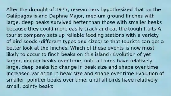 After the drought of 1977, researchers hypothesized that on the Galápagos island Daphne Major, medium ground finches with large, deep beaks survived better than those with smaller beaks because they could more easily crack and eat the tough fruits.A tourist company sets up reliable feeding stations with a variety of bird seeds (different types and sizes) so that tourists can get a better look at the finches. Which of these events is now most likely to occur to finch beaks on this island? Evolution of yet larger, deeper beaks over time, until all birds have relatively large, deep beaks No change in beak size and shape over time Increased variation in beak size and shape over time Evolution of smaller, pointier beaks over time, until all birds have relatively small, pointy beaks