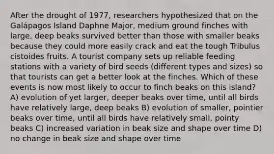 After the drought of 1977, researchers hypothesized that on the Galápagos Island Daphne Major, medium ground finches with large, deep beaks survived better than those with smaller beaks because they could more easily crack and eat the tough Tribulus cistoides fruits. A tourist company sets up reliable feeding stations with a variety of bird seeds (different types and sizes) so that tourists can get a better look at the finches. Which of these events is now most likely to occur to finch beaks on this island? A) evolution of yet larger, deeper beaks over time, until all birds have relatively large, deep beaks B) evolution of smaller, pointier beaks over time, until all birds have relatively small, pointy beaks C) increased variation in beak size and shape over time D) no change in beak size and shape over time