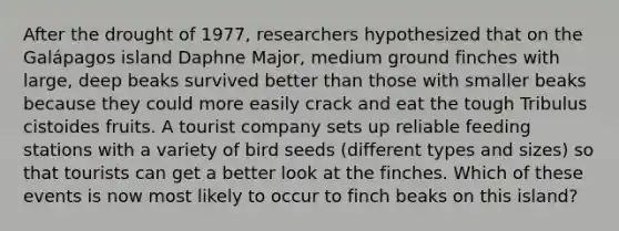 After the drought of 1977, researchers hypothesized that on the Galápagos island Daphne Major, medium ground finches with large, deep beaks survived better than those with smaller beaks because they could more easily crack and eat the tough Tribulus cistoides fruits. A tourist company sets up reliable feeding stations with a variety of bird seeds (different types and sizes) so that tourists can get a better look at the finches. Which of these events is now most likely to occur to finch beaks on this island?