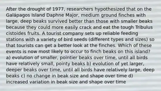 After the drought of 1977, researchers hypothesized that on the Galápagos Island Daphne Major, medium ground finches with large, deep beaks survived better than those with smaller beaks because they could more easily crack and eat the tough Tribulus cistoides fruits. A tourist company sets up reliable feeding stations with a variety of bird seeds (different types and sizes) so that tourists can get a better look at the finches. Which of these events is now most likely to occur to finch beaks on this island? a) evolution of smaller, pointier beaks over time, until all birds have relatively small, pointy beaks b) evolution of yet larger, deeper beaks over time, until all birds have relatively large, deep beaks c) no change in beak size and shape over time d) increased variation in beak size and shape over time