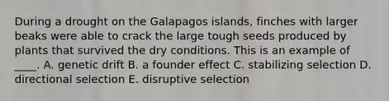 During a drought on the Galapagos islands, finches with larger beaks were able to crack the large tough seeds produced by plants that survived the dry conditions. This is an example of ____. A. genetic drift B. a founder effect C. stabilizing selection D. directional selection E. disruptive selection