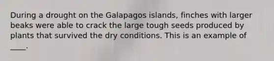 During a drought on the Galapagos islands, finches with larger beaks were able to crack the large tough seeds produced by plants that survived the dry conditions. This is an example of ____.