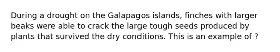 During a drought on the Galapagos islands, finches with larger beaks were able to crack the large tough seeds produced by plants that survived the dry conditions. This is an example of ?