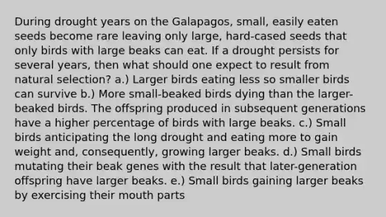 During drought years on the Galapagos, small, easily eaten seeds become rare leaving only large, hard-cased seeds that only birds with large beaks can eat. If a drought persists for several years, then what should one expect to result from natural selection? a.) Larger birds eating less so smaller birds can survive b.) More small-beaked birds dying than the larger-beaked birds. The offspring produced in subsequent generations have a higher percentage of birds with large beaks. c.) Small birds anticipating the long drought and eating more to gain weight and, consequently, growing larger beaks. d.) Small birds mutating their beak genes with the result that later-generation offspring have larger beaks. e.) Small birds gaining larger beaks by exercising their mouth parts