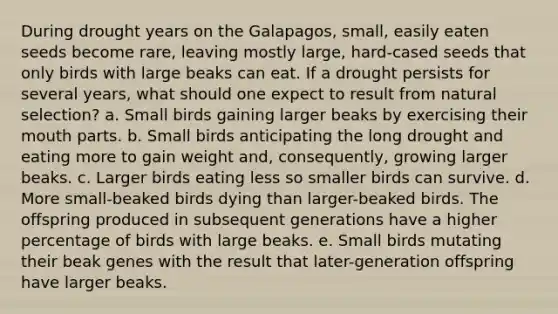 During drought years on the Galapagos, small, easily eaten seeds become rare, leaving mostly large, hard-cased seeds that only birds with large beaks can eat. If a drought persists for several years, what should one expect to result from natural selection? a. Small birds gaining larger beaks by exercising their mouth parts. b. Small birds anticipating the long drought and eating more to gain weight and, consequently, growing larger beaks. c. Larger birds eating less so smaller birds can survive. d. More small-beaked birds dying than larger-beaked birds. The offspring produced in subsequent generations have a higher percentage of birds with large beaks. e. Small birds mutating their beak genes with the result that later-generation offspring have larger beaks.