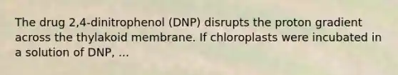 The drug 2,4-dinitrophenol (DNP) disrupts the proton gradient across the thylakoid membrane. If chloroplasts were incubated in a solution of DNP, ...