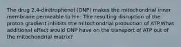 The drug 2,4-dinitrophenol (DNP) makes the mitochondrial inner membrane permeable to H+. The resulting disruption of the proton gradient inhibits the mitochondrial production of ATP.What additional effect would DNP have on the transport of ATP out of the mitochondrial matrix?