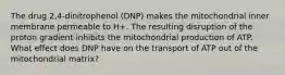 The drug 2,4-dinitrophenol (DNP) makes the mitochondrial inner membrane permeable to H+. The resulting disruption of the proton gradient inhibits the mitochondrial production of ATP. What effect does DNP have on the transport of ATP out of the mitochondrial matrix?