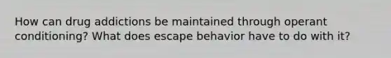 How can drug addictions be maintained through operant conditioning? What does escape behavior have to do with it?