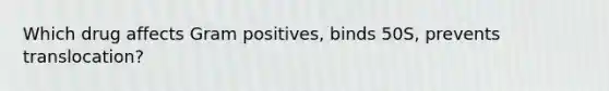 Which drug affects Gram positives, binds 50S, prevents translocation?