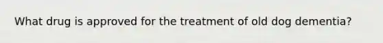 What drug is approved for the treatment of old dog dementia?