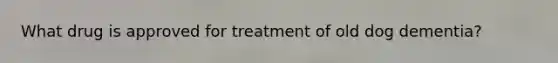 What drug is approved for treatment of old dog dementia?