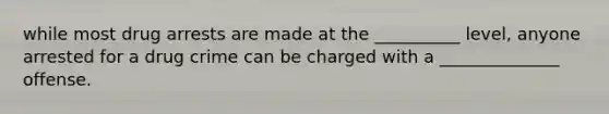 while most drug arrests are made at the __________ level, anyone arrested for a drug crime can be charged with a ______________ offense.