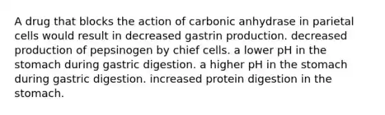 A drug that blocks the action of carbonic anhydrase in parietal cells would result in decreased gastrin production. decreased production of pepsinogen by chief cells. a lower pH in the stomach during gastric digestion. a higher pH in the stomach during gastric digestion. increased protein digestion in the stomach.