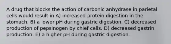 A drug that blocks the action of carbonic anhydrase in parietal cells would result in A) increased protein digestion in the stomach. B) a lower pH during gastric digestion. C) decreased production of pepsinogen by chief cells. D) decreased gastrin production. E) a higher pH during gastric digestion.