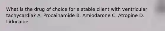 What is the drug of choice for a stable client with ventricular tachycardia? A. Procainamide B. Amiodarone C. Atropine D. Lidocaine