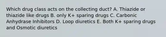 Which drug class acts on the collecting duct? A. Thiazide or thiazide like drugs B. only K+ sparing drugs C. Carbonic Anhydrase Inhibitors D. Loop diuretics E. Both K+ sparing drugs and Osmotic diuretics